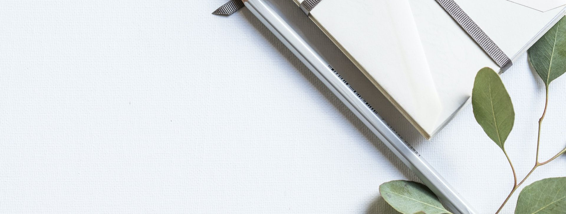Ourquidea Acetite corporal